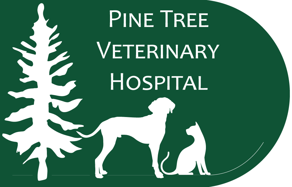 Welcome to Pine Tree Veterinary Hospital in Augusta, ME!